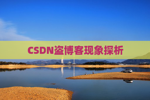 CSDN盗博客现象探析